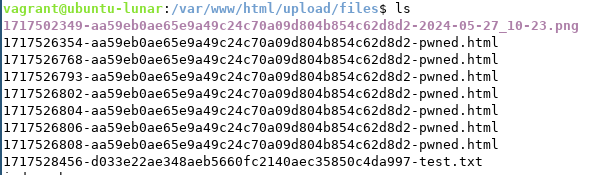 Output of the command ls with the filenames in the form: 1717526802-aa59eb0ae65e9a49c24c70a09d804b854c62d8d2-pwned.html