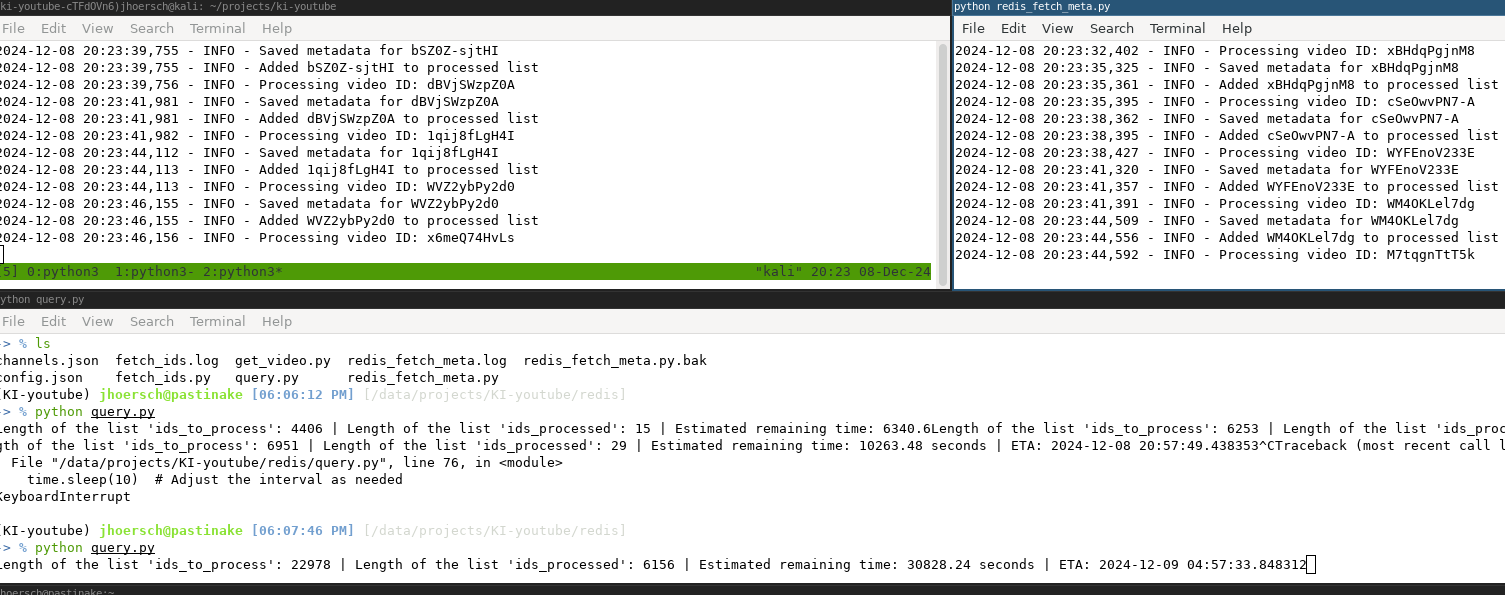 A terminal screenshot showing multiple panes and commands related to processing video metadata. The top-left pane displays log messages indicating video IDs being processed and metadata being saved. The top-right pane shows a similar log with INFO messages and timestamps. The bottom pane lists files in the directory and outputs from running Python scripts named ‘query.py’. The output includes information such as ‘Length of the list ids_to_process’, ‘Length of the list ids_processed’, estimated remaining time, and ETA timestamps. The output also shows a KeyboardInterrupt exception during execution.